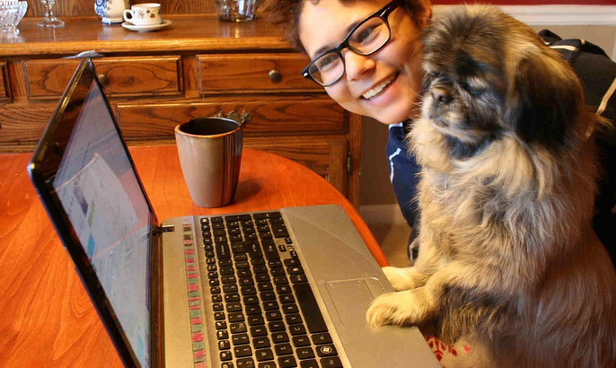 Dog-learning-to-computer