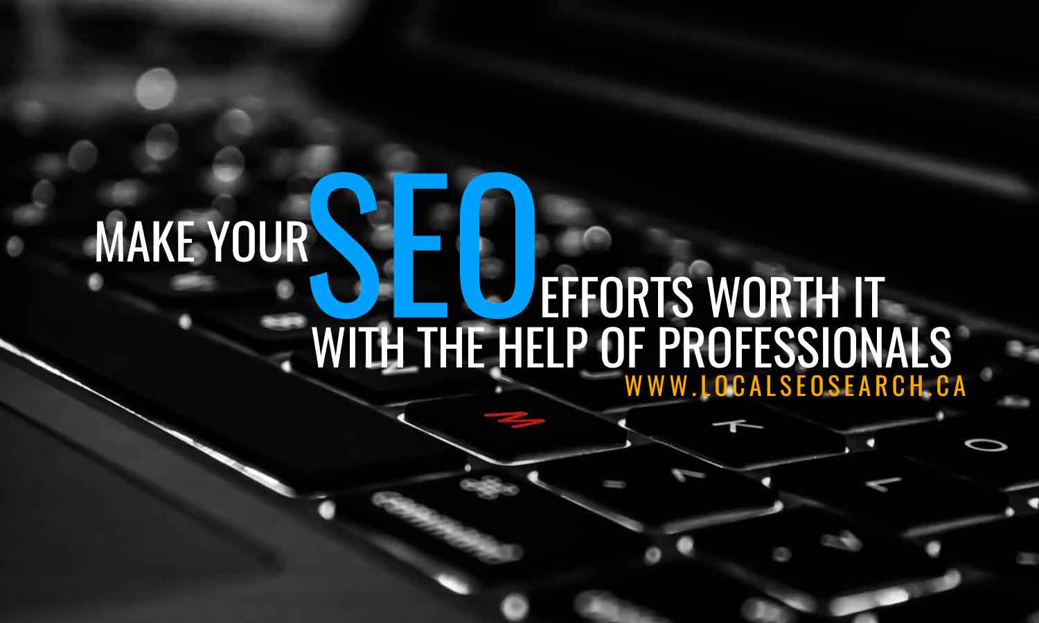 Make SEO efforts worth with professionals