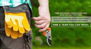 Tree-Services-Online-Advertising