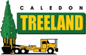 caledon treeland logo