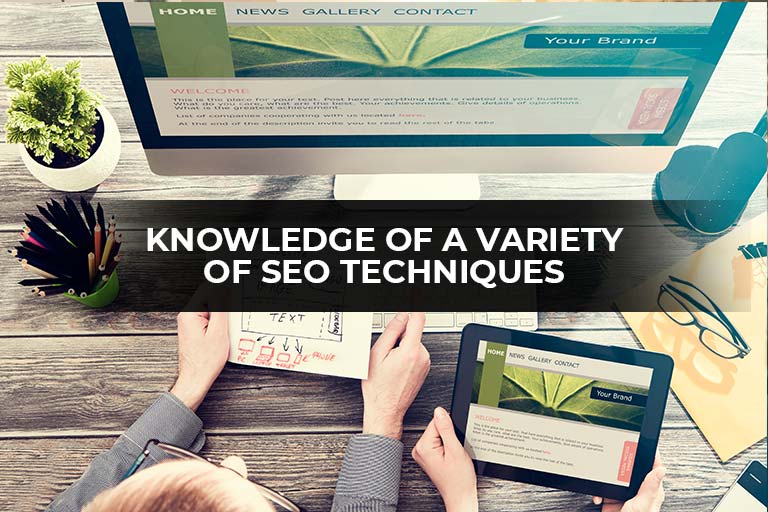 Knowledge Of A Variety Of SEO Techniques