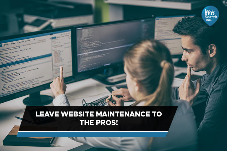 Leave Website Maintenance to the Pros!